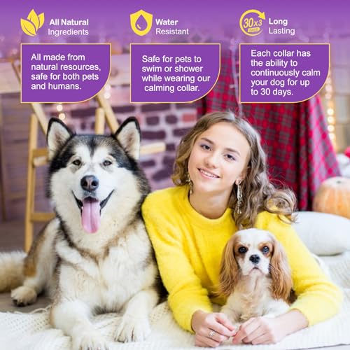 Halsbands Hund 3Pcs, Einstellbares Design Pheromon Halsband Hund für Angst, Adaptil Calm Halsband No Stress Formula, beruhigungshalsband für hunde, Hunds Pheromone Halsbands Klinisch bewährt,18.9 Zoll