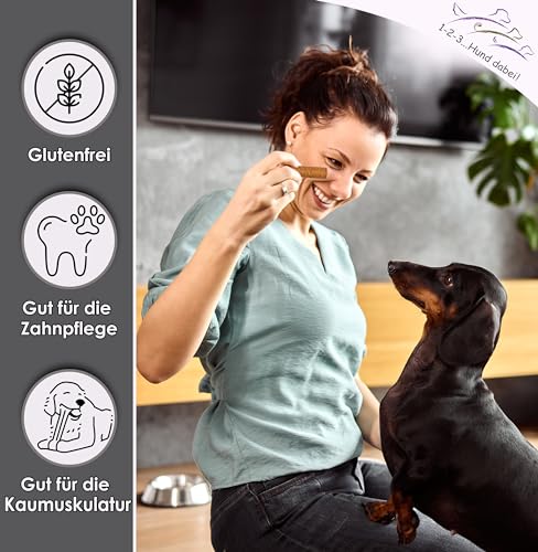 123... Hund dabei! - Kaurollen XXL 50er Tray (Hermetia/Insekten) - Dentalkaurolle - Glutenfrei - Vorteilspaket - Kaustangen für Hunde - Kausticks - Zahnpflege - Kaurollen für Hunde