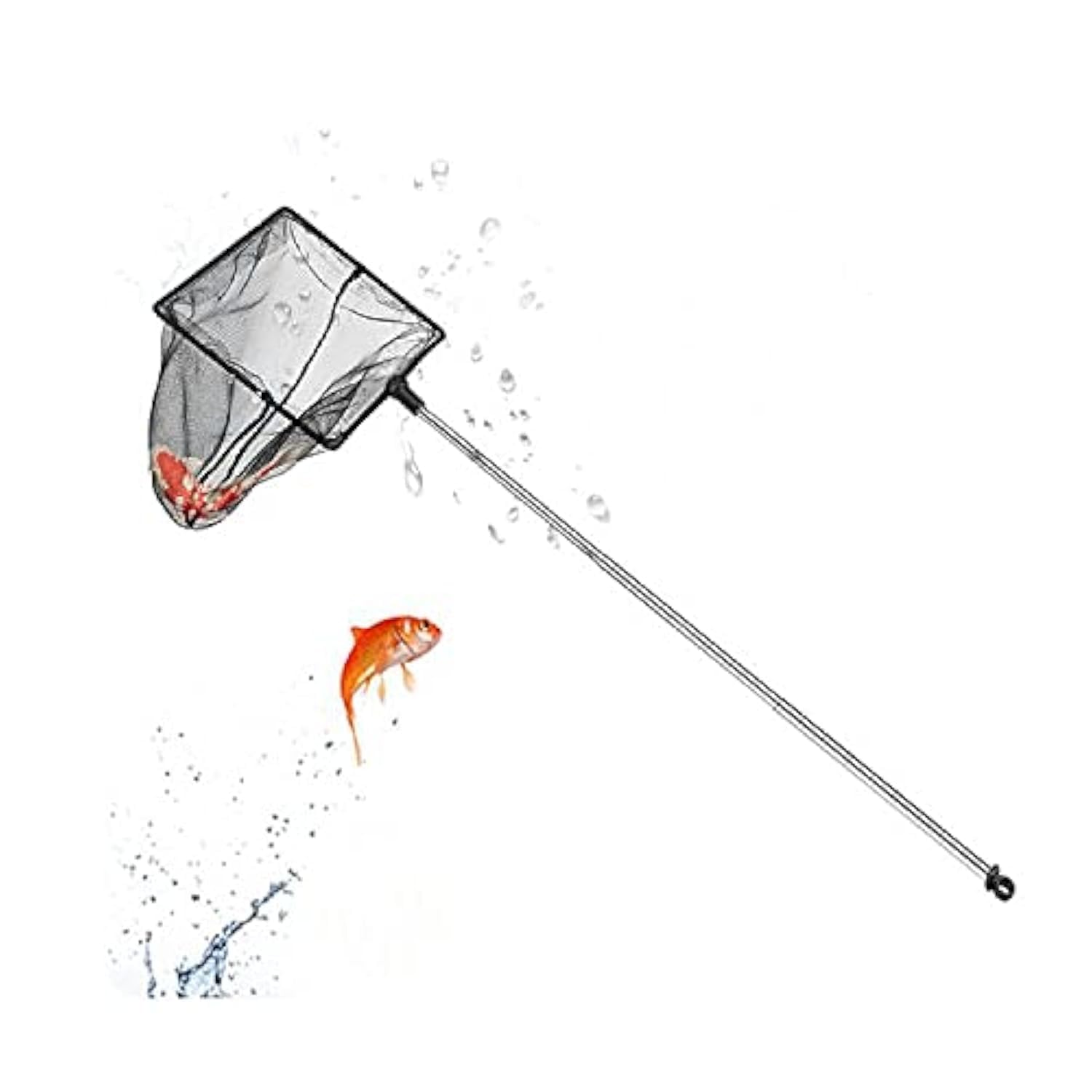 Retino Pesca Telescopico Per Acquari - Manico Regolabile Da 6 A 9.6 Pollici, Acciaio Inossidabile