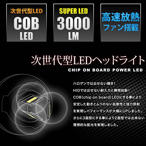 LEDライト付ヒーター Ninja ZX-25R ZX250E グリップヒーターSP | エンデュランス