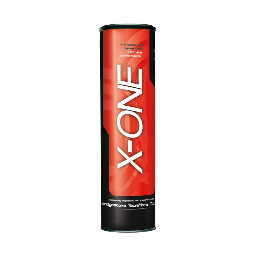 TECNIFIBRE CHAMPION 4 BALL TUBE | Panther Sports