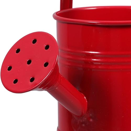 Miniatura 9 de DOITOOL Regadera pequeña de metal, 2 macetas de jardinería, cubo de riego de jardín (rojo y azul claro)
