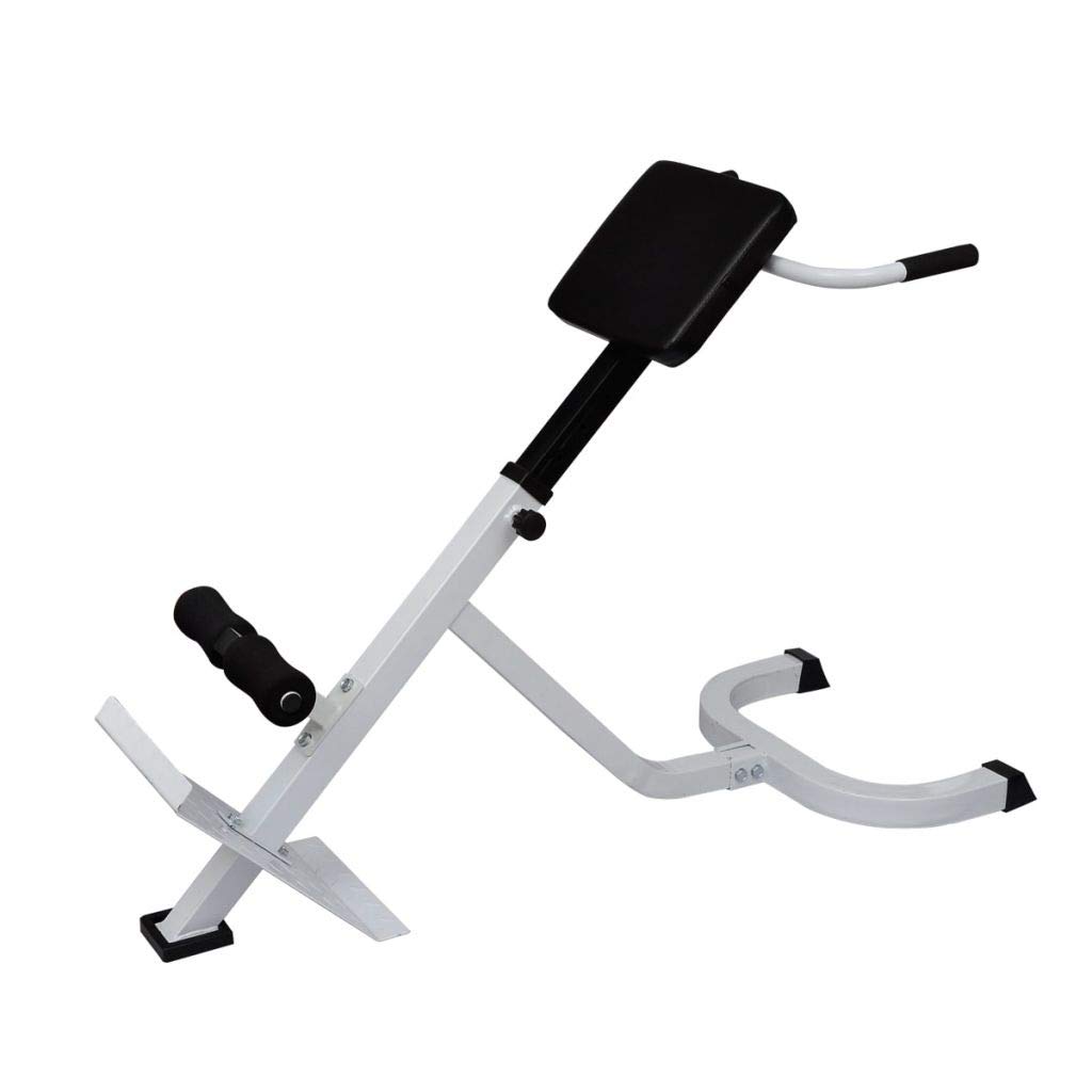 ShGaxin Banco de Ejercicios de lumbares, Rack Musculación, Banco Abdominales, Banco De Pesas Musculacion, Gimnasio En Casa, Banco Gimnasio, Banco Press Banca