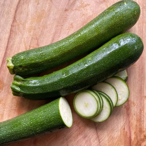 semi di zucchine biologici di invernali zucchine rampicanti verdi da appartamento di resistenti 125pcs