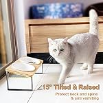 Ceramic Elevated Cat Bowls Raised Puppy Dishes for Food and Water Tilted Wooden Stand for Indoor Cats 5.5 inch Wide Double Dish Orthopedic Reduces Vomiting (Wood Color) - Image 4