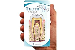 Dental Charts (Pocket)