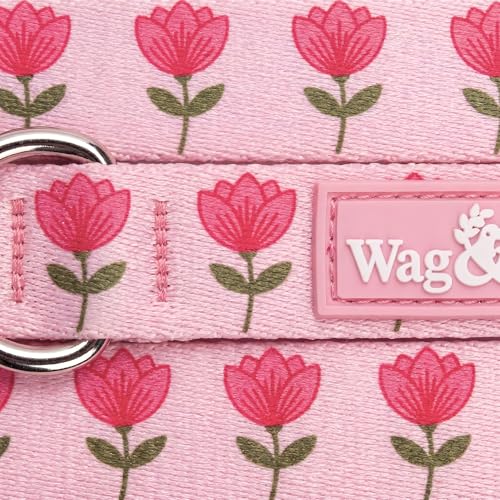 Image of Wag and Wilder Heavy Duty 5 FT Dog Leash for Small Dogs - Neoprene Padded Handle & Strong Metal Hook (Jaipur Bloom Pink)