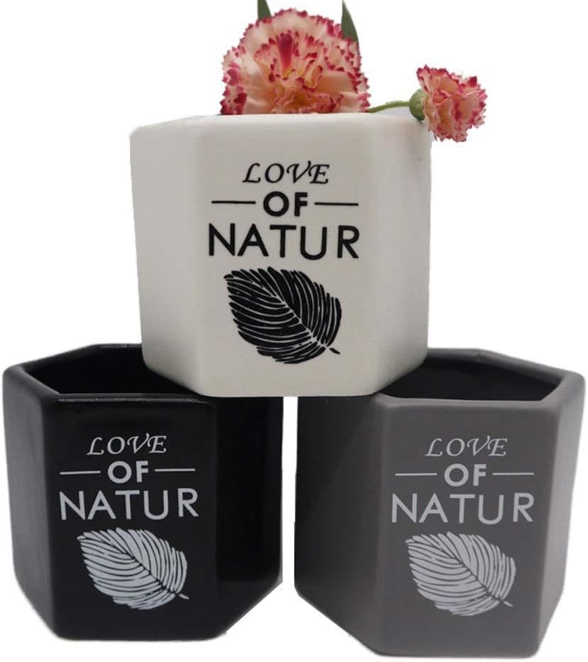 BPTCHP 3 Packs Indoor Home Ceramic Flower Pot Personal Matte Hexagonal Fleshy Ceramic Small Plant Pot Succulent Plant Vase For House Garden Patio Decoration