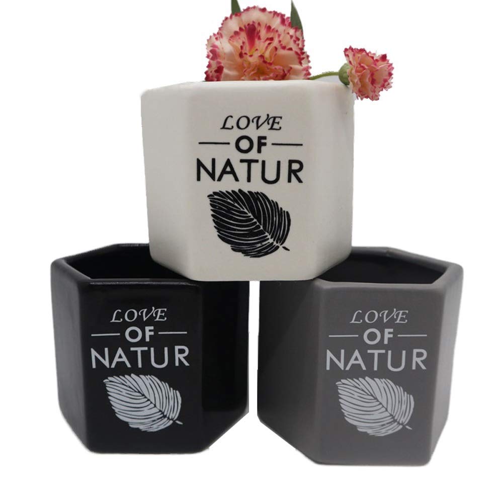 BPTCHP 3 Packs Indoor Home Ceramic Flower Pot Personal Matte Hexagonal Fleshy Ceramic Small Plant Pot Succulent Plant Vase For House Garden Patio Decoration