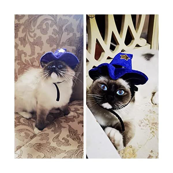 Aniac pet halloween costume adjustable magic witch hat with bell star decor for cats and small dogs purple - image 7