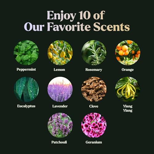 Image of Essential Oils Set - Top 10 Gift Set Blends for Fragrance, Diffusers, Humidifiers, Aromatherapy, Cars & Home Products, Room Sprays, Candle Making, Yoga - Fragrance Oils for Botanical Fresheners Making