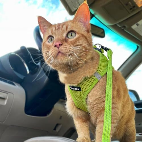 Image of Voyager Step-in Pet Harness - All Weather Mesh, Adjustable Step in Harness for Cats and Dogs by Best Pet Supplies - 307S Lime Green, XXXS