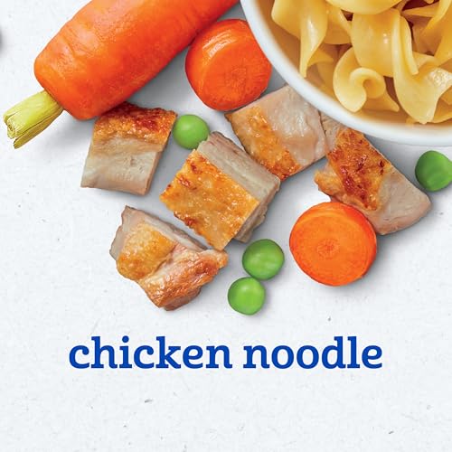 Save on Gerber Baby Food 2nd Foods Chicken Noodle Puree 8-Pack