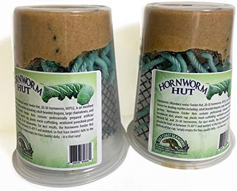 Educational Science Professional Hornworm Breeding Kit, THK1000