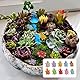 100 Stück Turtles Figuren,Mini Schildkröten Im Dunkeln Leuchtende Bunt Harz Tiere Leuchtend Kleine Kunstharz Schildkröte Figur Luminous Resin Animals Miniatur Lustig Tierfiguren Set für Kinder Deko