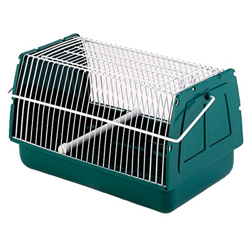 Kerbl Pet Transportbox, Tierbox, 21x15x14 cm, Kunststoff, grün, für Hamster, Meerschweinchen, Nager, Kleintiere
