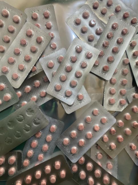 Synsepalum dulcificum(Miracle Fruit Tablet) 1 blister(10 candy count) 100% natural and organic (2)