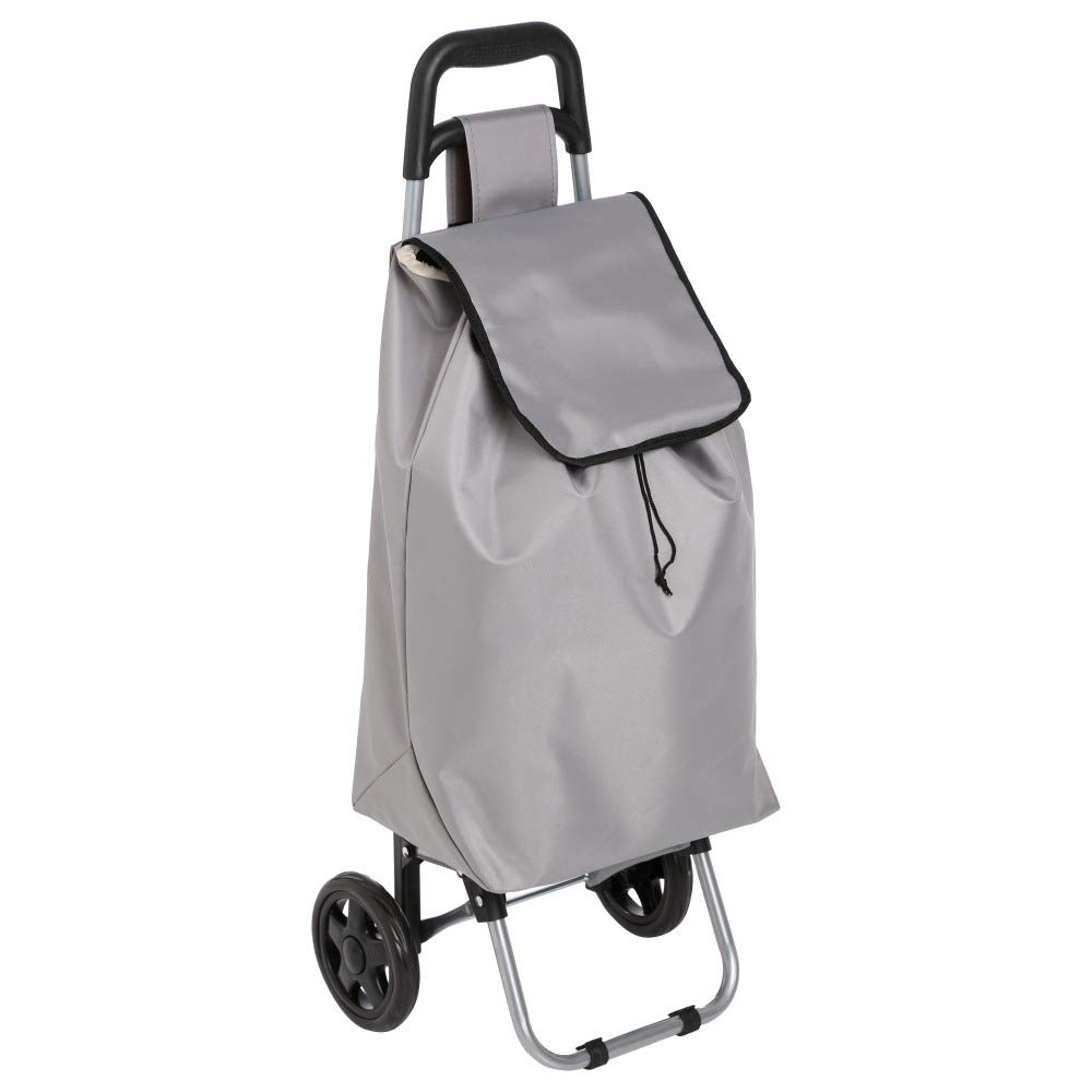 Paris Prix - Carrito para bebé, Color Gris