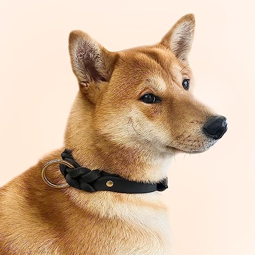 Pet Artist Braided Leather Dog Collar For Small Medium Dog, Soft Lightweight Full Grain Genuine Leather Dog Collar With Metal Buckle, Black M: Neck Size For 12-16 Inches #TOP1