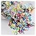 LZYXFP Fruit Slice Nail Art Accessories Accessories 1000pcs Beautiful(All Mixed Slices)