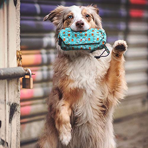 STUCH Futterdummy für Hunde 100% Vegan & PETA zertifiziert – reißfester Apportierbeutel für Nass- & Trockenfutter – wasserdicht & waschbar – Trainingsdummy für Hundetraining & Rückruf (Türkis)