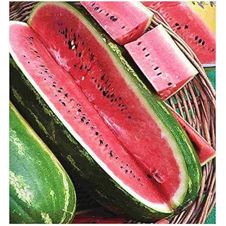 Amazon Com Jubilee Watermelon Garden Outdoor