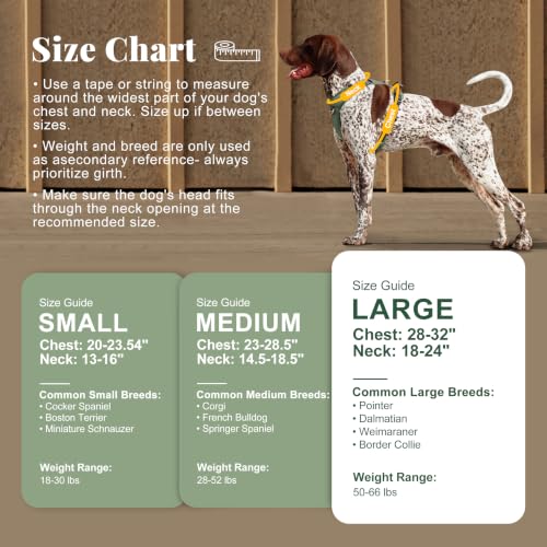 Image of Didog No Pull Dog Harness for Medium Dogs, Classic PU Leather, Green, L
