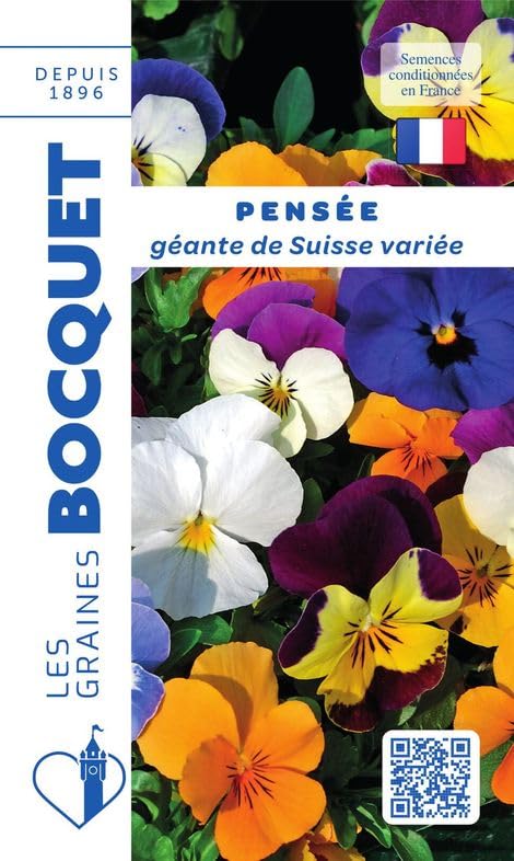Sachet de graines de Pensée géante de Suisse variée - 0,5 g - fleur bisannuelle - LES GRAINES BOCQUET