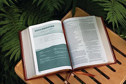 Image of Rooted: The NIV Bible for Men, Leathersoft, Brown, Comfort Print: Shaping Men for Faithful Living in Today's World