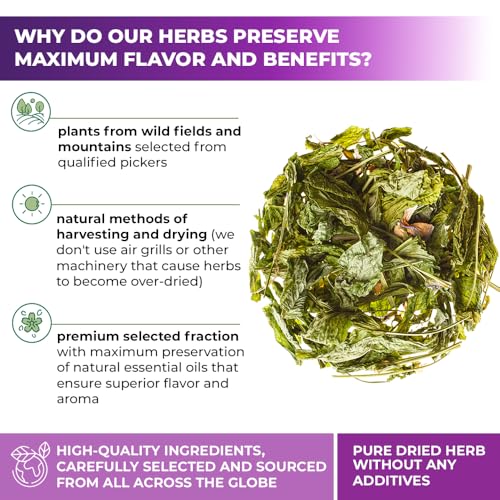 Image of 20 Bags Goat'S Rue Goat'S Goats Rue Herb Tea (Galega Officinalis L.) - 20 Count 1.5 g Tea Bags Blood Sugar French Lilac Ruda De Cabra