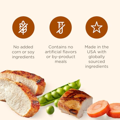 Nutrish Soup Bones Premium Dog Chews with Real Chicken and Veggies, Soft Texture Treats, Valentine's for Dogs, 11 Chews, Packaging May Vary (Rachael Ray)