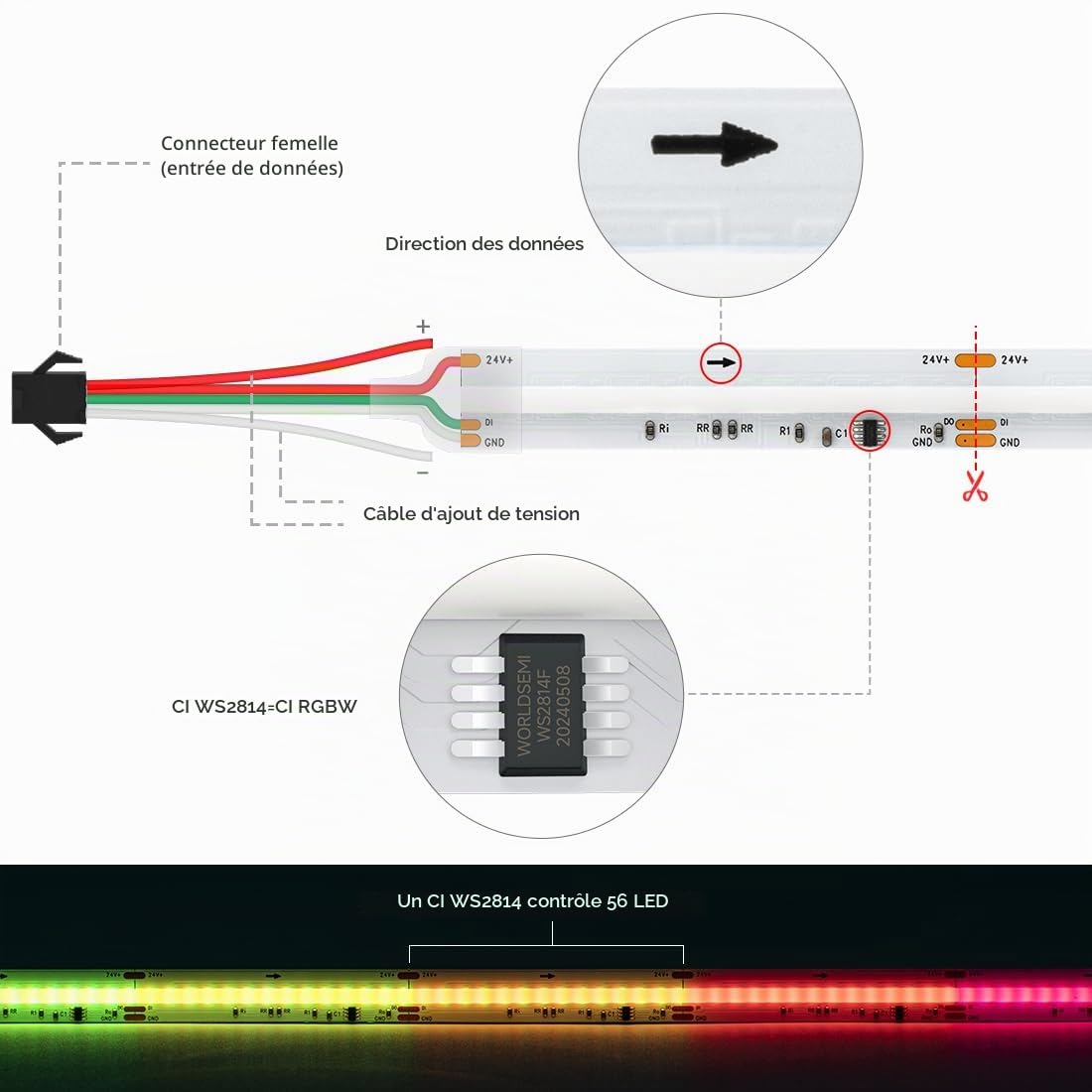 Ruban LED COB WS2814 RGBW IC FCOB 5M 896LEDs/m Bande lumineuse haute densité DC24V 10mm RGB+WW(Blanc Chaud) Ruban Lumineuse IP30 Non éTanche pour les Projets de Bricolage IntéRieurs