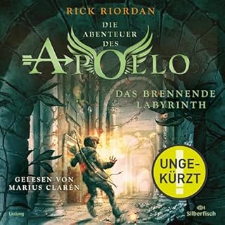 Das brennende Labyrinth Titelbild