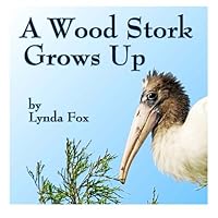 A Wood Stork Grows Up 1439245398 Book Cover