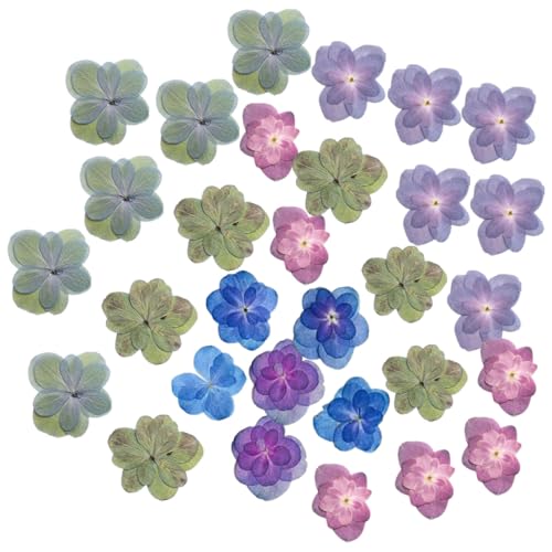Flores secas prensadas para manualidades 30 piezas miniatura 1