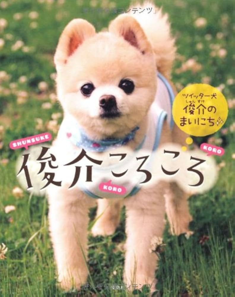 Amazon.co.jp: 俊介ころころ~ツイッター犬 俊介のまいにち~ : 本 Amazon.co.jp: 俊介ころころ~ツイッター犬 俊介のまいにち~ : 本