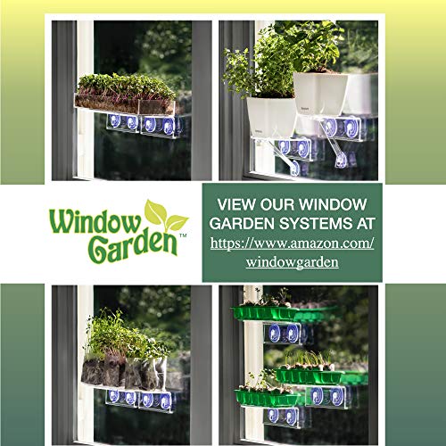 Window Garden Multi-Use Acrylic Planter Tray + Fiber Soil + Sprayer = Gorgeous Succulent, Dish and Herb Gardens | Grow Microgreens, Wheatgrass Seed | Centerpiece | Drip Tray | Fairy Gardens (2 Pack).