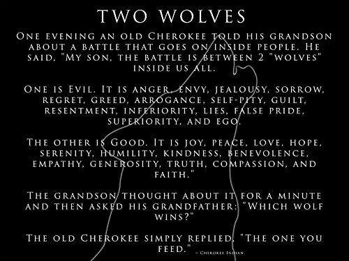 Cherokee Indian Poster Inspirational Poster Motivational Poster Two Wolves 18x24