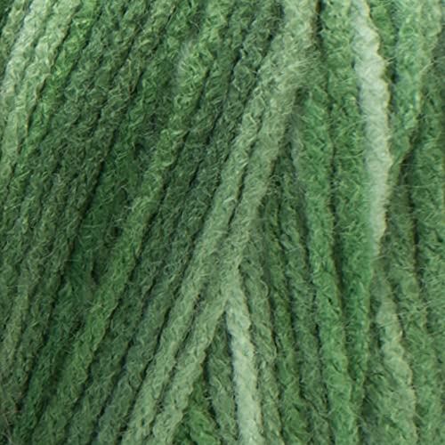 Image of Red Heart E300.0629 Super Saver Economy Yarn, Green Tone