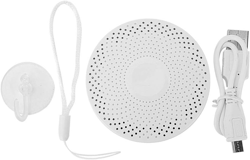 USB Ozone Generator, USB Air Purifier Ozone Generator Odor Removal Disinfection Ozone Generator Sterilizer