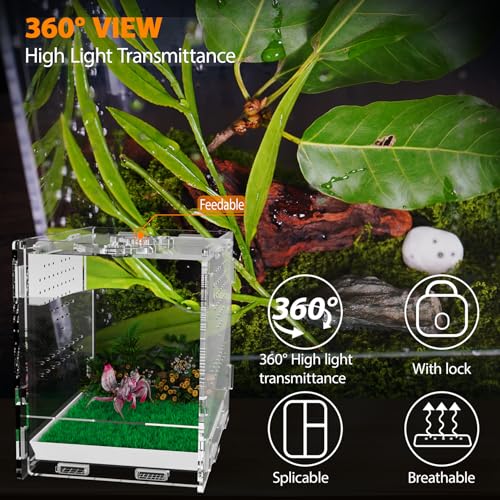 Acrylic Jumping Spider Enclosure, Insect Terrarium, Praying Mantis Habitat, Bug Enclosure, Arboreal Tarantula Enclosure Kit, Reptile Cage, Scorpion Lizard Tank (4.45 * 4.94 * 5.71in) — view 6