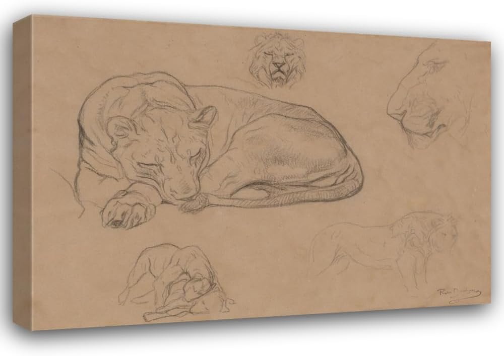 ArtDirect Studies of Lions (ca. 1860) Custom Framed Art Print Giclee Print or Canvas Options with Various Sizes and Customization by Rosa Bonheur