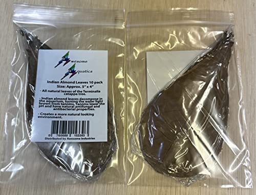 Image of Awesome Aquatic Catappa Indian Almond Leaves, 10 Count, 4-6 Inch | Natural tannins • Blackwater conditioning • Betta & shrimp habitat • Water enrichment
