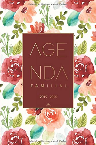Télécharger Agenda Familial 2019 2020: Agenda de poche, Planner, Calendrier familial 2019-2020 pour 4 membres de Livre eBook France