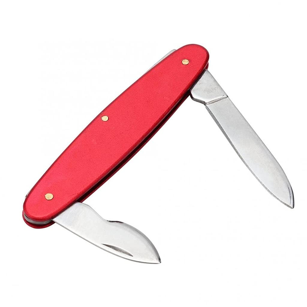 Entfernerwerkzeug, Reparatur, Uhrmacher, Ersatzöffner, Uhrengehäuse-Reparaturwerkzeug, Uhrenöffner, Uhrmacherwerkzeuge (Rosso)