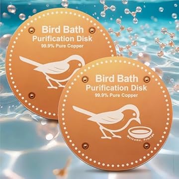 best heated bird bath for hummingbirds that will transform your backyard 2 best heated bird bath for hummingbirds
