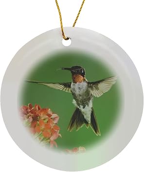 Circle Porcelain Ornament - Ruby-Throated Hummingbird, Kalanchoe Flower Texas - NA02 RNU0765 - Rolf Nussbaumer Birds