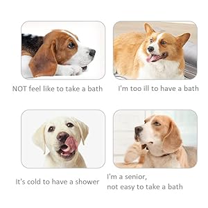 10pcs Free Rinse Dog Wipesscrubbing Gloves for Cats and Dogs Grooming Gloves and Pet Wipes with Lotion Formula Deal with the Stinky Dogs and Wipes Cleaning Cat Fur  Cucciolini Doodles 10pcs free rinse dog wipesscrubbing gloves for cats and dogs grooming gloves and pet wipes with lotion formula deal with the stinky dogs and wipes cleaning cat fur   cucciolini doodles