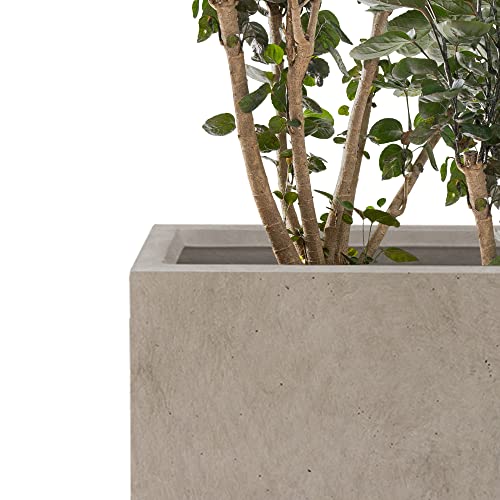 Kante 18.5",15.7",12.6" H Tall Rectangular Concrete Planters Set of 3, Outdoor Indoor Lightweight Plant Pots with Drainage Hole and Rubber Plug, Modern Style for Home Garden Patio, Weatheted Concrete by Kante - Image 3