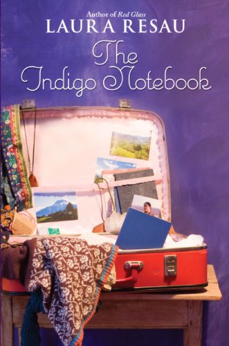 The Indigo Notebook (Notebook Series 1)